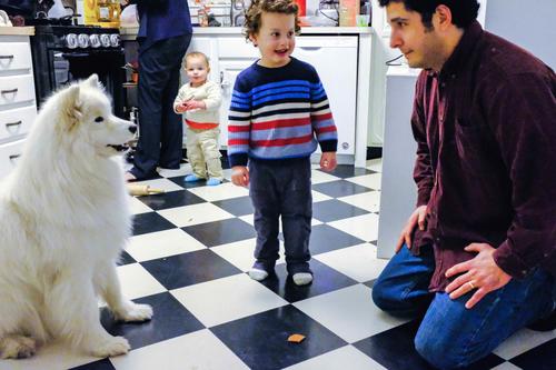 A family plays with their dog, a white fluffy Samoyed. Dan Greco and his two little sons play on the kitchen floor with the dog. 