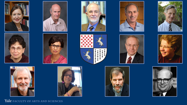 Image collage of the 2019-2020 FAS faculty retirees