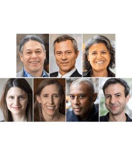 Clockwise from top left: Ned Blackhawk, Gary Brudvig, Jennifer Gandhi, Phillipp Strack, Caryl Phillips, Oona Hathaway, Marina Halac.