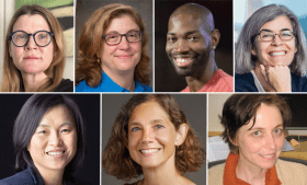 Top row, from left, Anne L. Alstott, Susan Baserga, Tarell Alvin McCraney, and Anna Christina Nobre. Bottom row, from left, Hee Oh, Marina Picciotto, and Karin M. Reinisch.