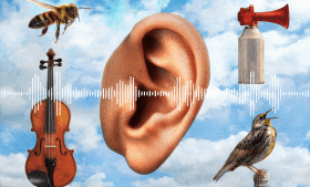 AI-generated image featuring a human ear surrounded by a violin, bee, bird, and air horn, overlaid with a waveform representing audio. Created and edited by Michael S. Helfenbein using Adobe Stock.