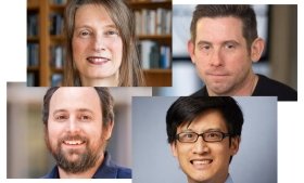 Four Yale professors honored by the Graduate School of Arts and Sciences for providing superb teaching, advising, and mentoring to students. Clockwise from top left, Moira Fradinger, Rourke O’Brien, Andrew Wang, and David Moore. Photo credit: Dan Renzetti.