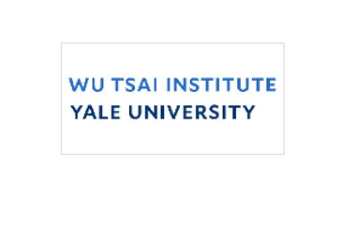 Wu Tsai Logo