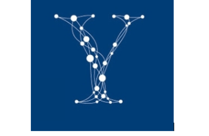 YINS Logo