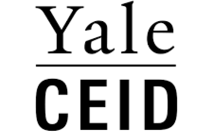 CEID Logo