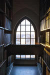 Picture taken at the Stacks on Sterling Library. It shows two long parallel book shelves, and at the end of their end, a window. 