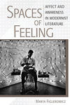 The cover of Marta Figlerowicz's new book: Spaces of Feeling