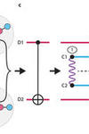 A network graph of the modular quantum architecture demonstrated in the new study.