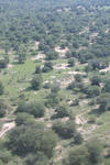 Aerial view of a field of trees. 
