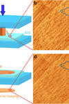 Graphic depicting the process of replication of surface structures. 