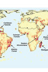 A map showing the likelihood of new species discovery in various regions of the world